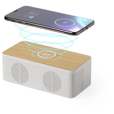głośnik - reklamowy - bezprzewodowy -  kabel  - powerbank -   ekologia - gadżet - upominek - znakowanie - nadruk - laser  - recykling - ochrona środowiska - ładowanie -  indukcyjny - hub