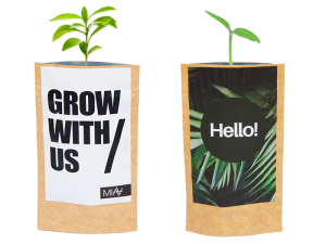 Ekosaszetka z roślinką