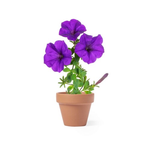 doniczka - reklamowa - kwiaty - ekologia - gadżet - dom - ogród - biuro - znakowanie - nadruk