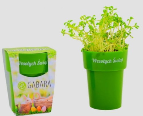 rzeżucha  - reklamowa - gadżet - ekologia - święta - Wielkanoc - dom - spotkanie - upominek - biura - znakowanie - nadruk