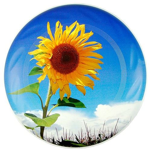 Frisbee 22", śr. 220 x 19 mm, cena dla min. 500 szt.
