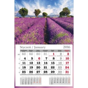 Kalendarz jednodzielny główka płaska