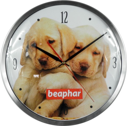 573-bephar.jpg